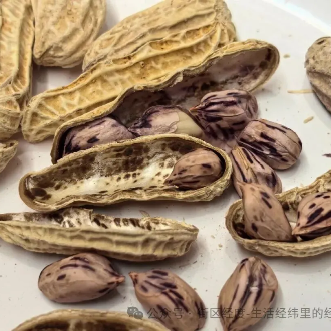 从走鬼到固定档：七彩花生红利四次换手